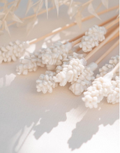 Load image into Gallery viewer, Individual Diffuser Flowers