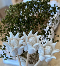 Load image into Gallery viewer, Individual Diffuser Flowers