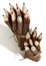 Load image into Gallery viewer, Pack of 10 Large Tamarind Twig Colour Pencils
