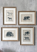Load image into Gallery viewer, Victorian African Animal Prints
