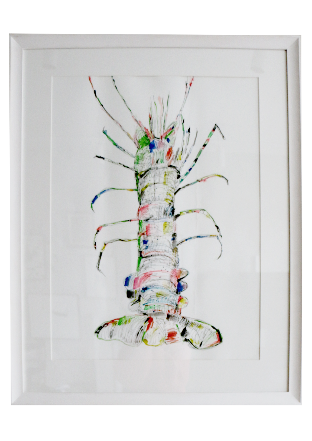 Original Lobster Watercolour by Hamish Alexander