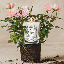 Load image into Gallery viewer, Diptyque 190g Roses Candle
