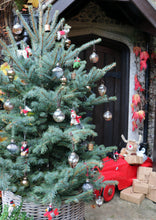 Load image into Gallery viewer, Felt Christmas Tree Decoration