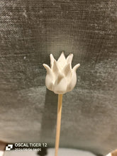Load image into Gallery viewer, Individual Diffuser Flowers
