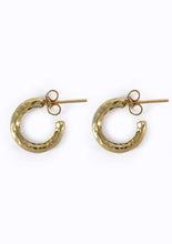 Load image into Gallery viewer, Hoop Earrings
