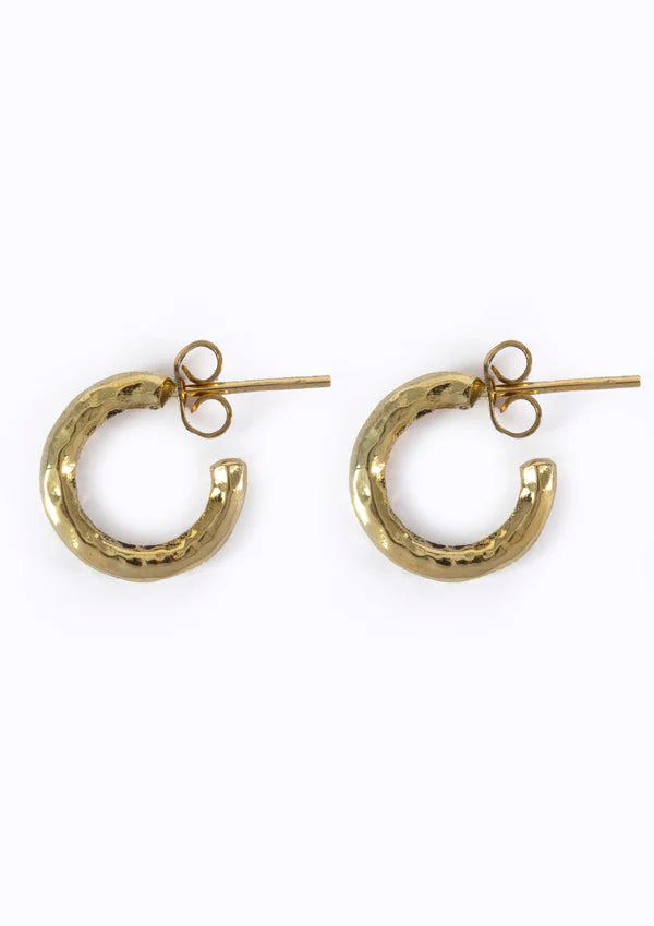 Hoop Earrings
