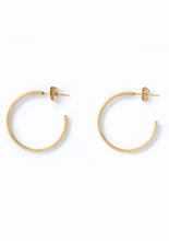 Load image into Gallery viewer, Hoop Earrings
