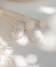 Load image into Gallery viewer, Individual Diffuser Flowers
