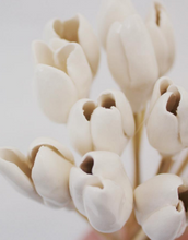 Load image into Gallery viewer, Individual Diffuser Flowers
