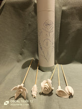 Load image into Gallery viewer, Diffuser Flower Gift Set

