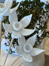 Load image into Gallery viewer, Individual Diffuser Flowers
