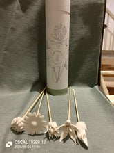Load image into Gallery viewer, Diffuser Flower Gift Set

