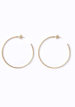Load image into Gallery viewer, Hoop Earrings
