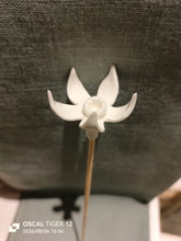 Load image into Gallery viewer, Individual Diffuser Flowers
