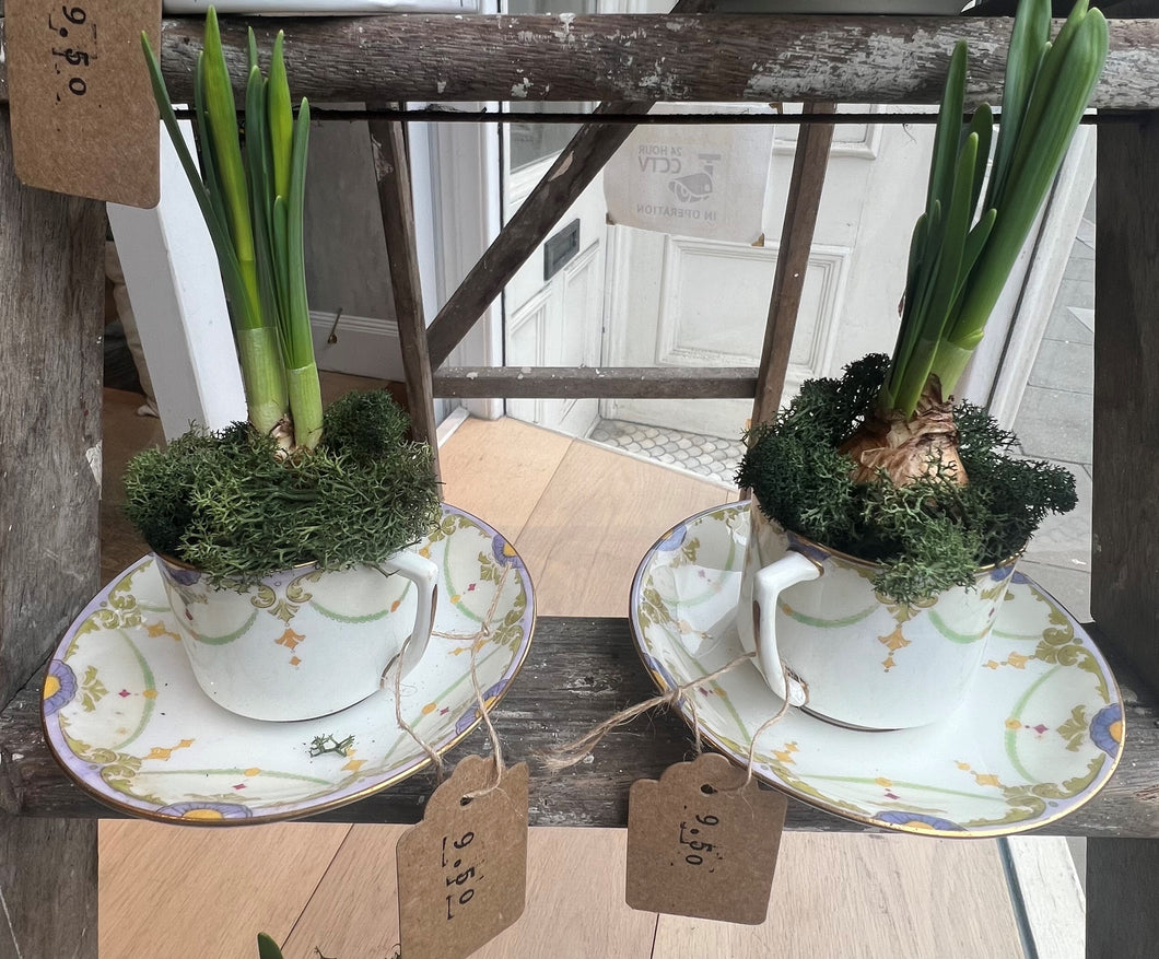 Porcelain Coffee Cup and Saucer with Plant