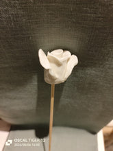Load image into Gallery viewer, Individual Diffuser Flowers
