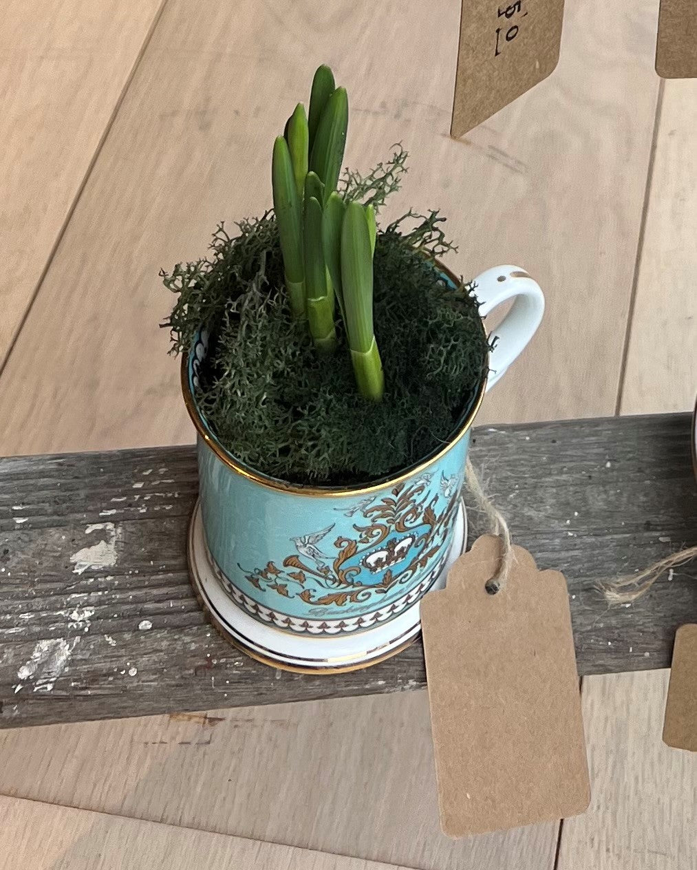 Porcelain Coffee Cup with Plant