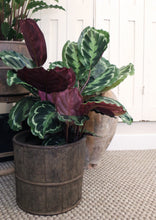 Load image into Gallery viewer, Vintage Wooden Plant Pot
